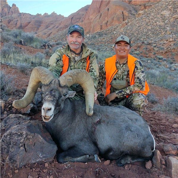 NAVAJO NATION DESERT BIGHORN
