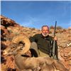 Image 2 : NAVAJO NATION DESERT BIGHORN