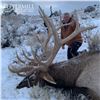 Image 2 : NEVADA UNIT 221-223 & 231 PRIVATE LANDOWNER ELK TAG FOR 1 HUNTER
