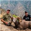 Image 2 : 2025 OREGON BIGHORN SHEEP TAG