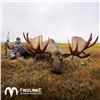 Image 2 : 10-DAY ALASKA-YUKON MOOSE HUNT FOR 1 HUNTER IN NORTHWEST ALASKA