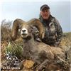 Image 2 : 10-DAY CHIHUAHUA DESERT BIGHORN SHEEP HUNT