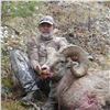 Image 8 : IDAHO BIGHORN SHEEP