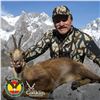 Image 3 : 4-DAY CANTABRIAN CHAMOIS HUNT IN SPAIN FOR 1 HUNTER (Trophy Fee for 1 Cantabrian Chamois)