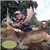 Image 2 : 5-DAY IBERIAN MOUFLON SHEEP/IBERIAN RED DEER OR FALLOW DEER FOR 2 HUNTERS & 2 NON-HUTERS  (Trophy fe