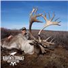 Image 2 : 10-DAY MOUNTAIN CARIBOU HUNT FOR 1 HUNTER IN NWT CANADA