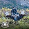 Image 2 : 10-DAY CANADIAN MOOSE, BLACK BEAR & WOLF HUNT FOR 1 HUNTER