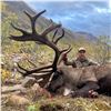 Image 2 : 12 - DAY DALL’S SHEEP/WOLF/WOLVERINE HUNT IN THE NORTHWEST TERRITORIES FOR 1 HUNTER & 1 NON