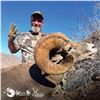 Image 2 : 8-DAY WEEMSI DESERT BIGHORN SHEEP HUNT FOR 1 HUNTER