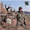 Image 2 : 9 - DAY ALASKAN HUNT FOR 2 MOUNTAIN GOATS AND 1 SITKA BLACKTAIL DEER FOR 1 HUNTER