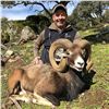 5 - DAY IBERIAN MOUFLON SHEEP HUNT FOR 2 HUNTERS