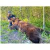Image 4 : 5-DAY FULLY GUIDED BLACK BEAR HUNT FOR 1 HUNTER - LADIES ONLY HUNT!