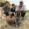 Image 8 : 4 - DAY HUNT FOR 2 HUNTERS IN SPAIN INCLUDING 2 MOUFLON SHEEP, OR 2 RED STAG OR 2 ROE DEER  (Hunter'