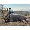 Image 4 : Hunt South Africa with Chumlet Safaris for a Nyala and an Impala to be shared by the hunters.