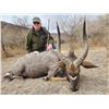 Image 5 : Hunt South Africa with Chumlet Safaris for a Nyala and an Impala to be shared by the hunters.