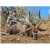 Image 6 : Hunt South Africa with Chumlet Safaris for a Nyala and an Impala to be shared by the hunters.