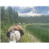 Image 4 : Cassiar Cleanse 2025- Yoga and Horseback Trip