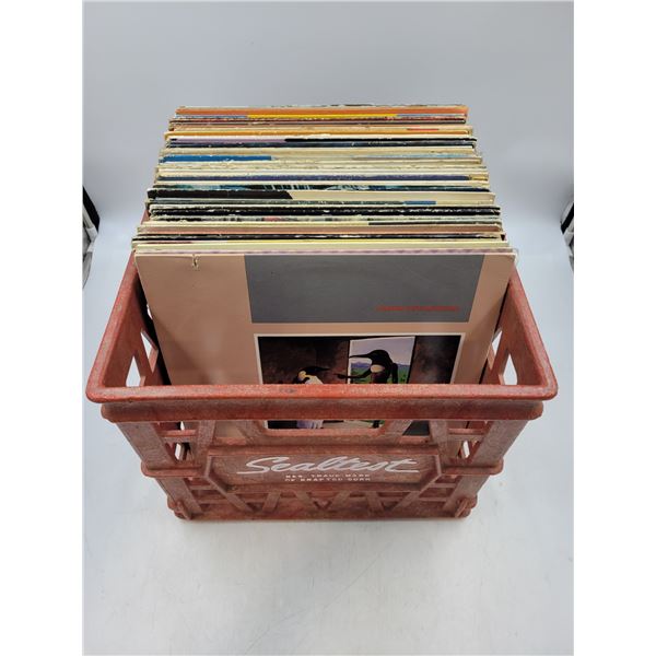 Vinyl Record Lot (Crate not included!)