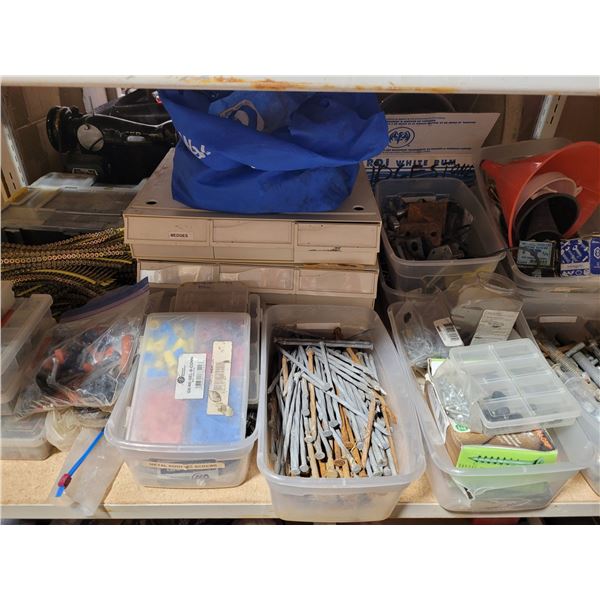 Nail, Screw & Hardware Lot