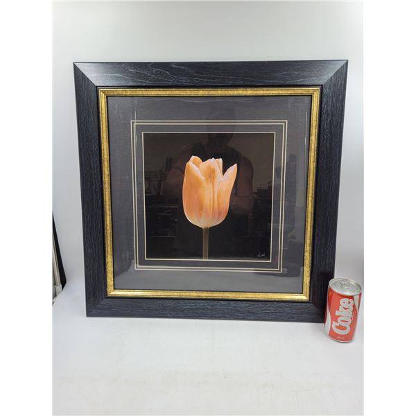 Framed Tulip Picture