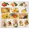 Image 2 : Signed Artist Klein Flower Greeting Postcards 80+