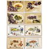 Image 11 : Winsch Holiday Greeting Album Approx. 70 Postcards