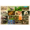 Image 3 : Animal Postcards 700+