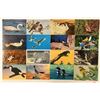 Image 1 : Animals - Birds Approx. 425 Postcards