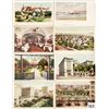 Image 1 : California Detroit Publishing Postcards Approx. 120