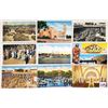 Image 2 : Tarpon Springs, Florida Postcards Approx. 60