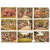 Image 1 : Alabama Approx. 95 Postcards