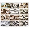 Image 3 : Foreign - England Multiview Postcards with Cats & Dogs 75+