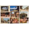 Image 2 : Foreign - Bahamas Approx. 125 Postcards