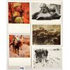 Image 3 : Foreign - Russian Military Art Set 18 Postcards