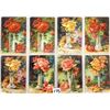 Image 2 : Colorful Flower - Floral Postcards To My, Best Wishes, Birthday, etc. Album 130+