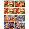 Image 3 : Colorful Flower - Floral Postcards To My, Best Wishes, Birthday, etc. Album 130+
