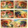 Image 7 : Colorful Flower - Floral Postcards To My, Best Wishes, Birthday, etc. Album 130+