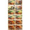 Image 8 : Colorful Flower - Floral Postcards To My, Best Wishes, Birthday, etc. Album 130+