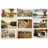 Image 2 : Black Americana 70+ Postcards