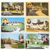 Image 1 : Movie Star Homes 30+ Postcards