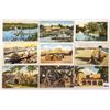 Image 3 : Seminole Indian Postcards Approx. 35