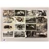 Image 1 : Real Photo Animal Postcards - Many "Greetings From" 160+