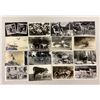 Image 2 : Real Photo Animal Postcards - Many "Greetings From" 160+