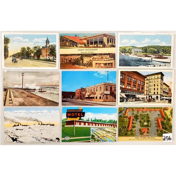 Michigan 210+ Postcards Partially Sorted