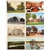 Image 1 : Missouri 215+ Postcards Partially Sorted