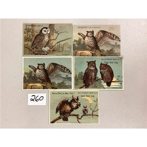 Animal - Owl Advertising Trade Cards 5
