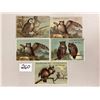 Image 1 : Animal - Owl Advertising Trade Cards 5