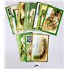 Image 3 : Winsch St. Patrick's Day Holiday Greeting Postcards 12