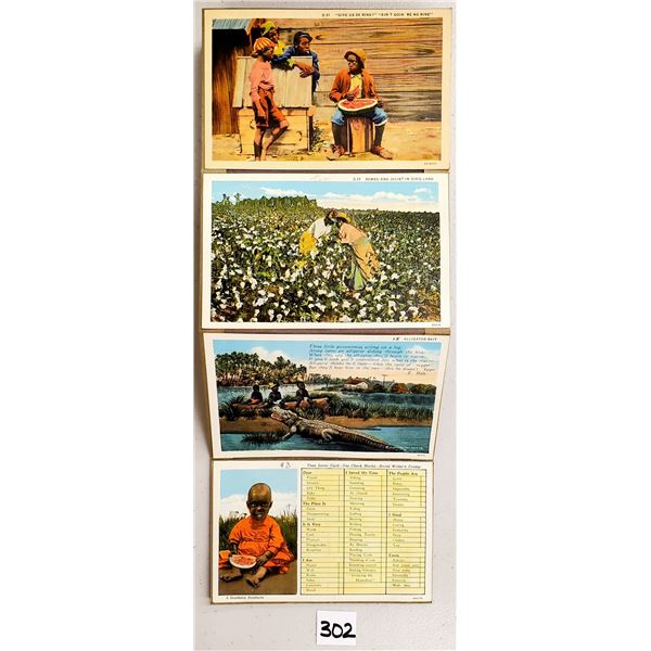 Advertising - Asheville Postcard Company Sample Set Accordian Dixieland Postcards