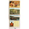 Image 1 : Advertising - Asheville Postcard Company Sample Set Accordian Dixieland Postcards